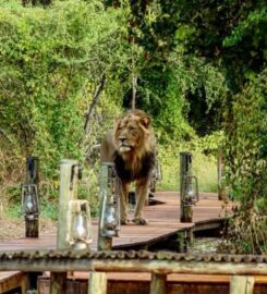 Ker & Downey’s Kanana Camp 